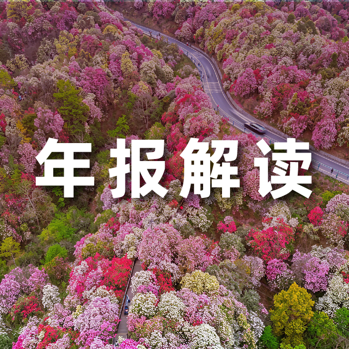 米兰milan动力2025营收利润双增，全栈智能驱动增长，AI相关业务收入占比达52.6%   